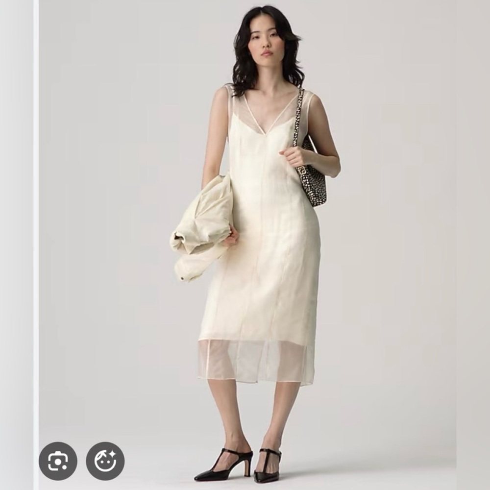 JCrew Organza Dress NWT